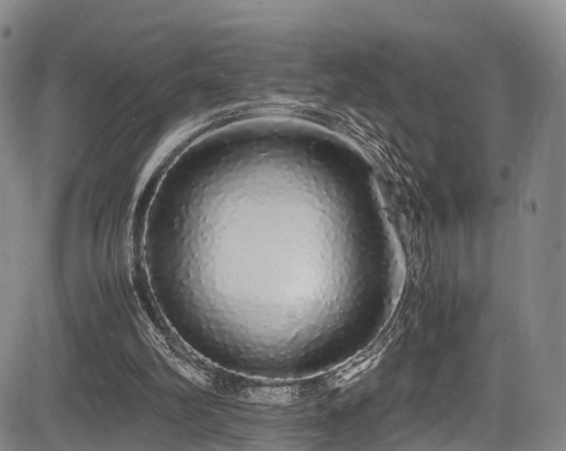 X0000084000102200702161142
