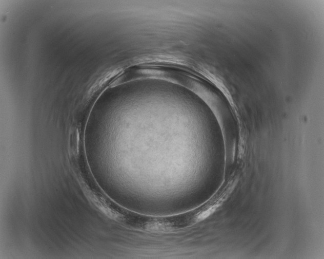 X0000084000109200702161142