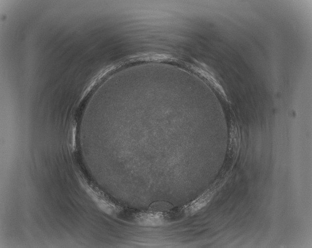 X0000084000110200702161142