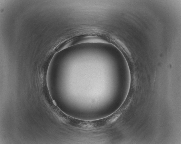 X0000084000113200702161142