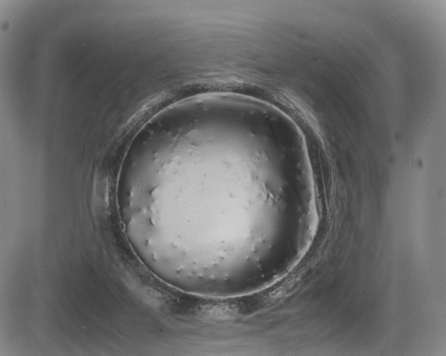 X0000084000115200702161142