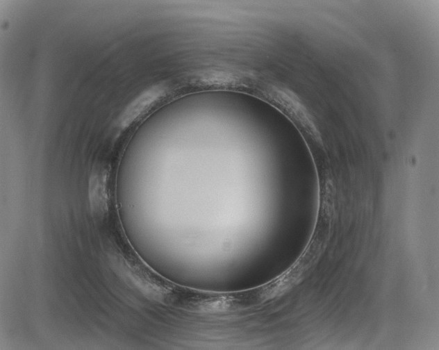 X0000084000116200702161142
