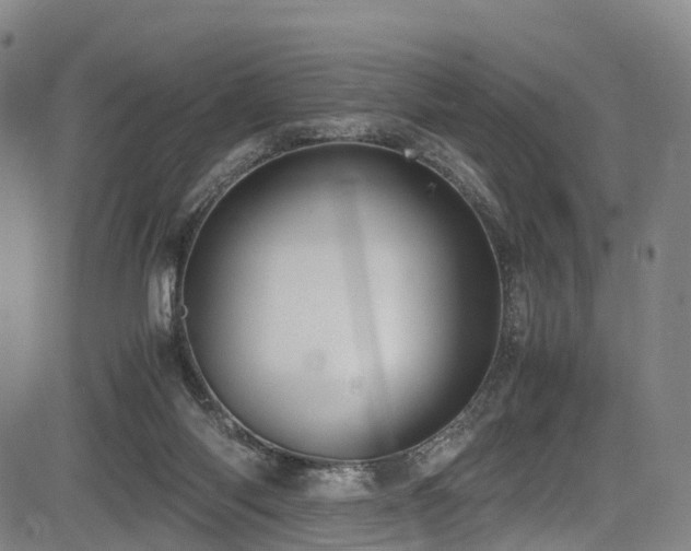 X0000084000118200702161142