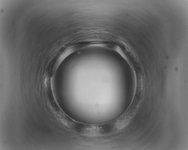 X0000084000125200702161142
