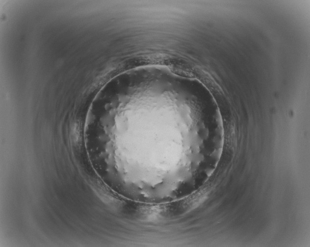 X0000084000131200702161142