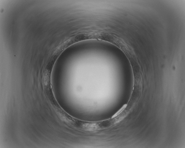 X0000084000133200702161142