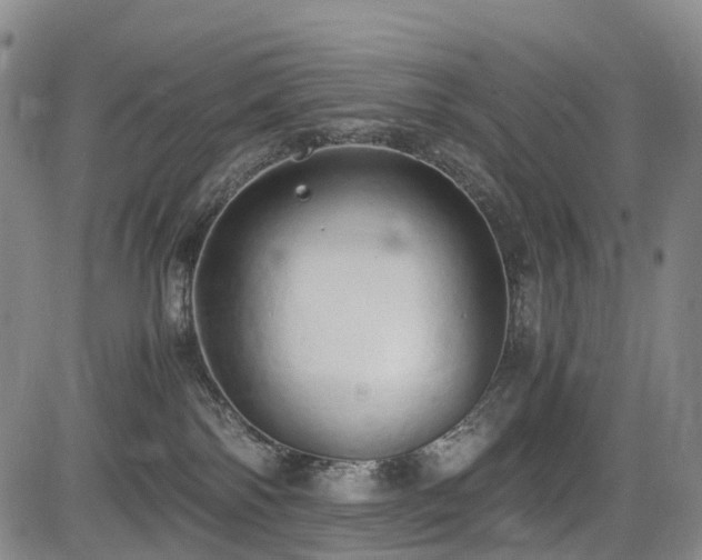 X0000084000138200702161142