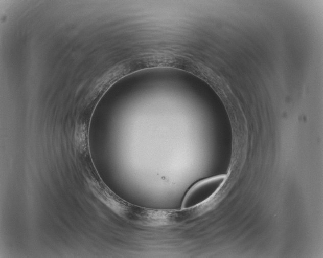 X0000084000144200702161142