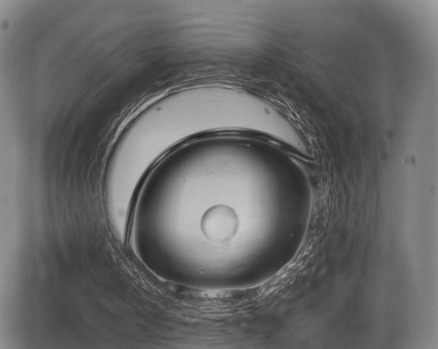 X0000084000146200702161141