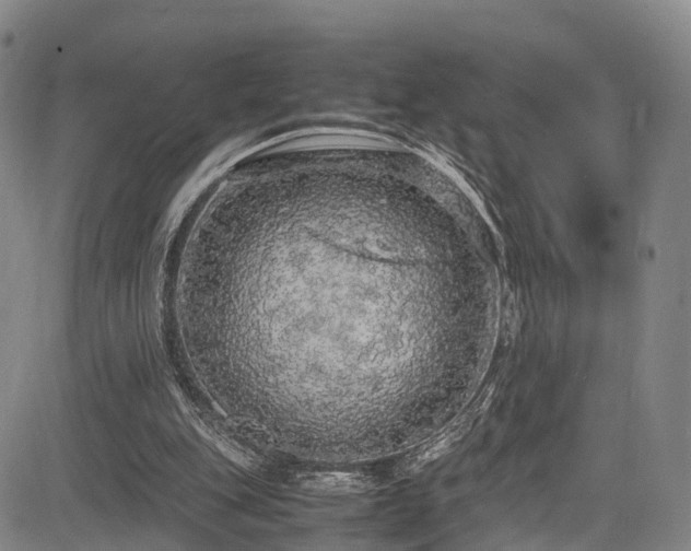 X0000084000151200702161141