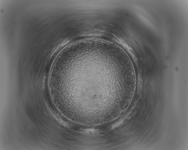 X0000084000153200702161141