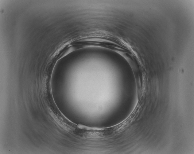 X0000084000154200702161141