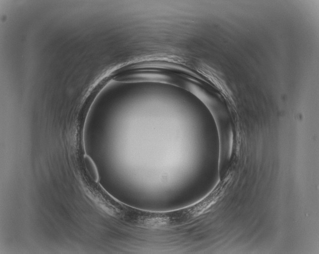 X0000084000156200702161141