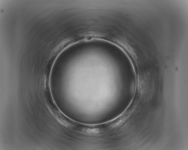 X0000084000157200702161141