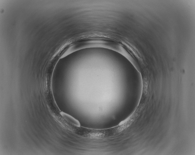 X0000084000158200702161141