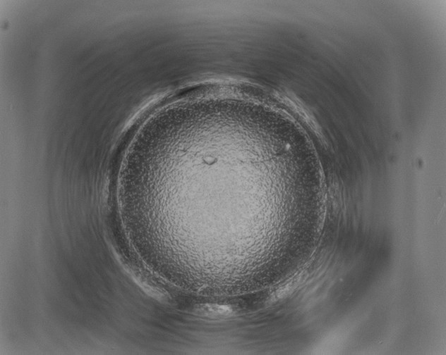 X0000084000159200702161141