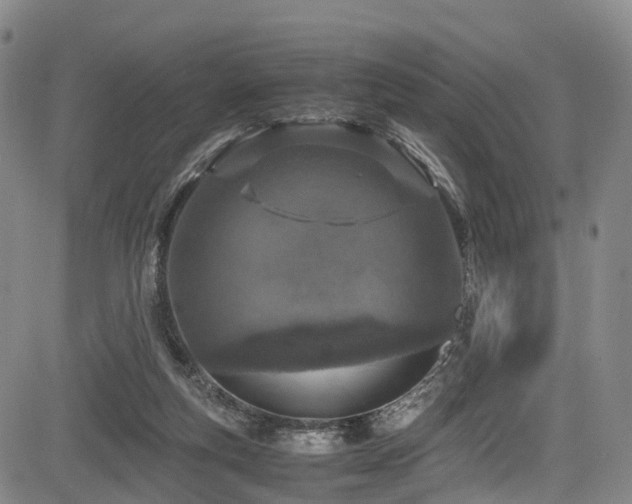 X0000084000163200702161141