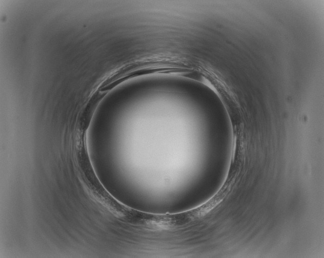 X0000084000164200702161141