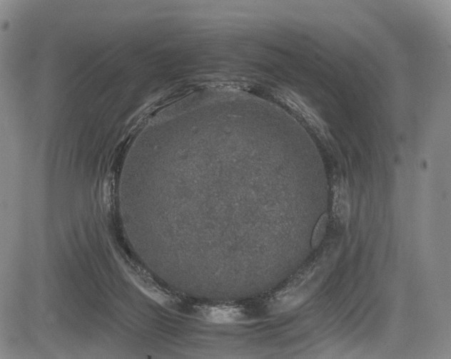 X0000084000165200702161141