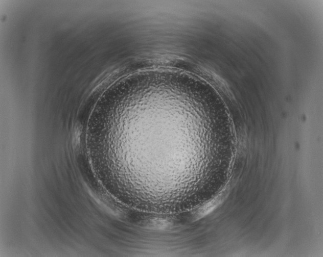 X0000084000166200702161141