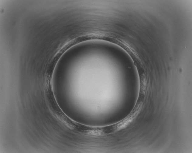 X0000084000168200702161141