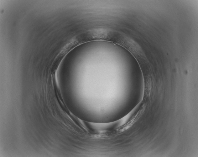 X0000084000172200702161141
