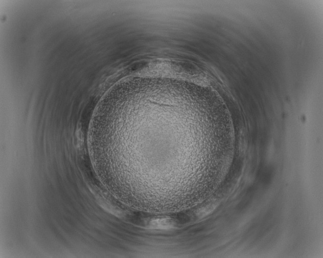 X0000084000173200702161141
