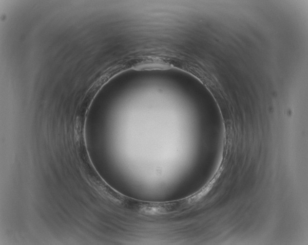 X0000084000174200702161141