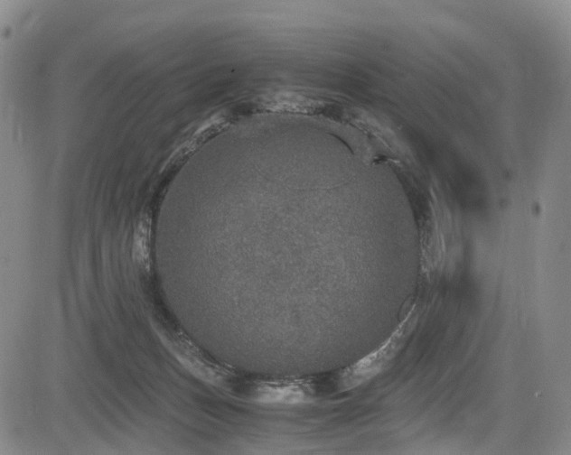 X0000084000175200702161141