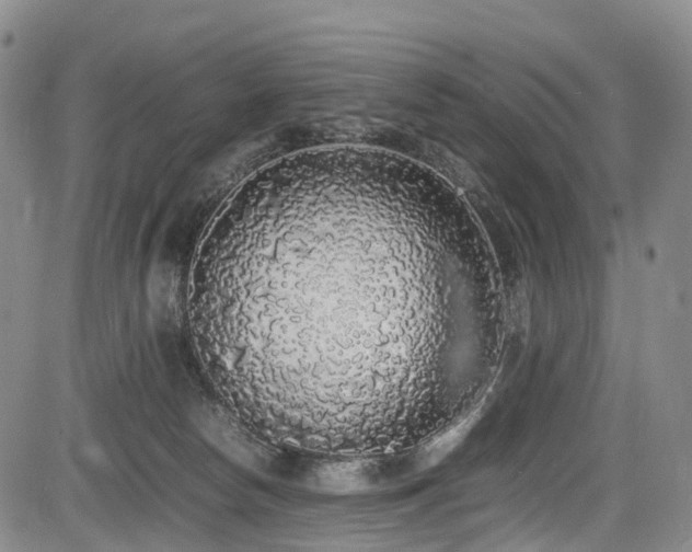 X0000084000178200702161142