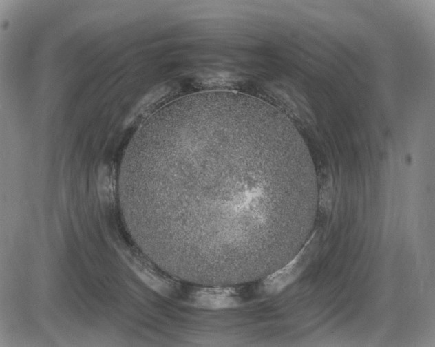 X0000084000179200702161142