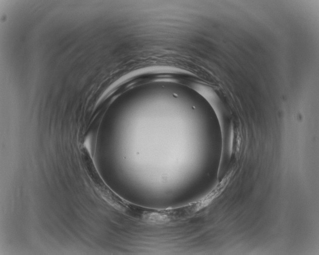 X0000084000180200702161142