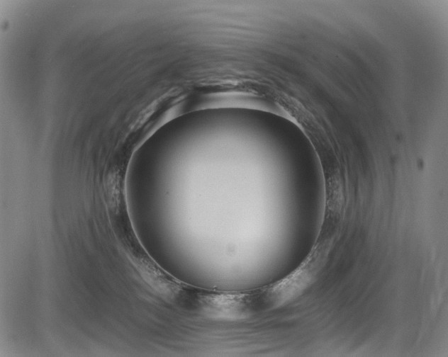 X0000084000184200702161142