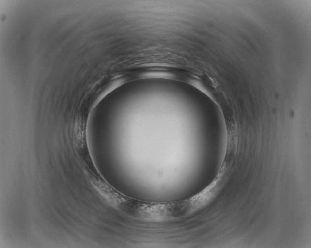 X0000084000186200702161142