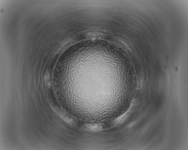 X0000084000187200702161142