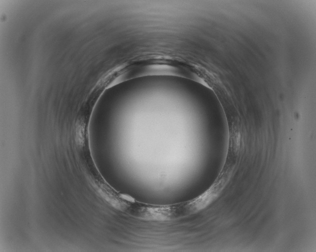 X0000084000188200702161142