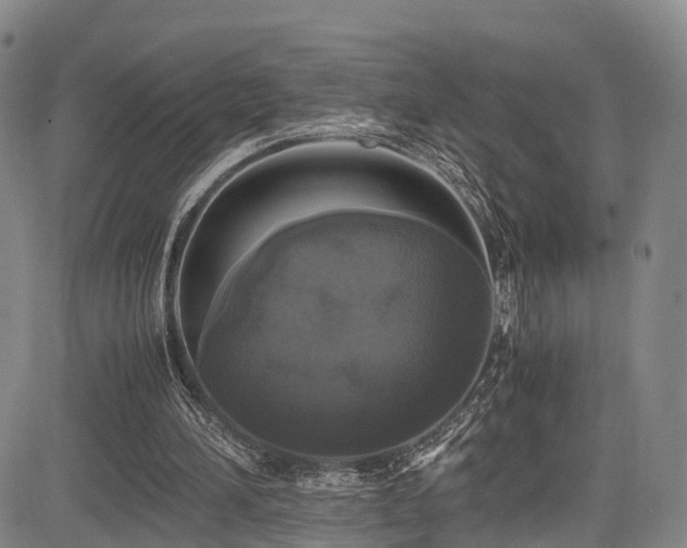 X0000084000196200702161141