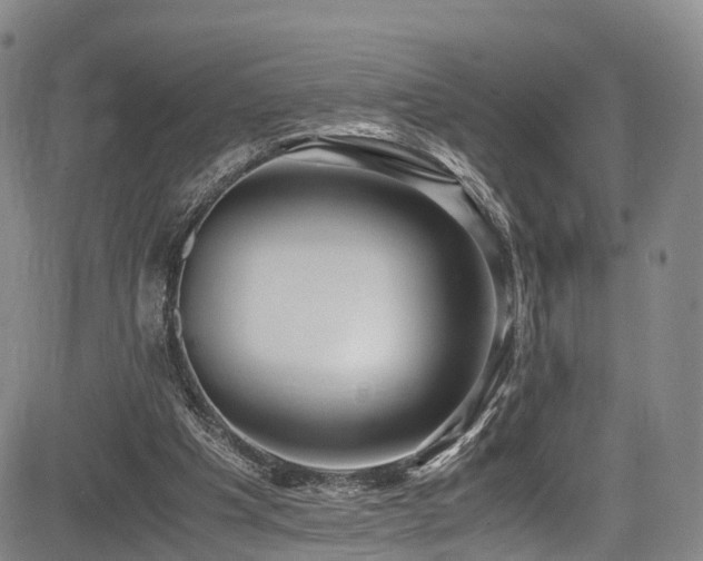 X0000084000201200702161141