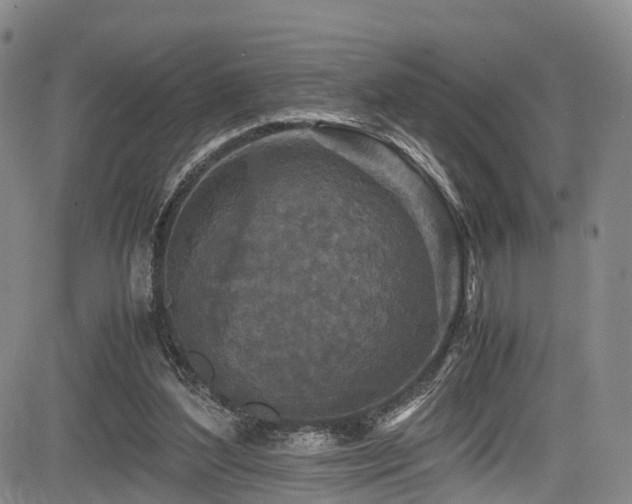 X0000084000204200702161141