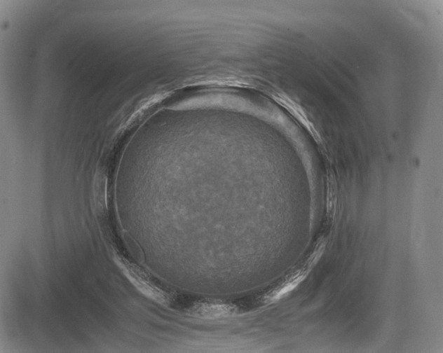 X0000084000205200702161141