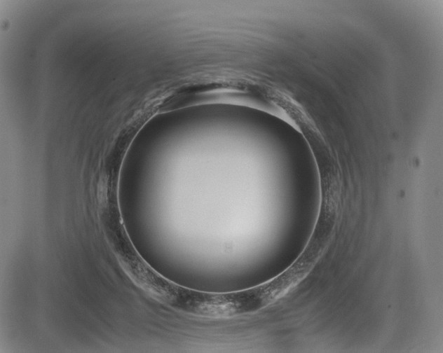 X0000084000213200702161141