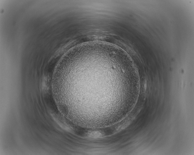 X0000084000218200702161141