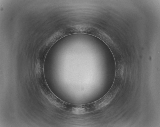 X0000084000220200702161141