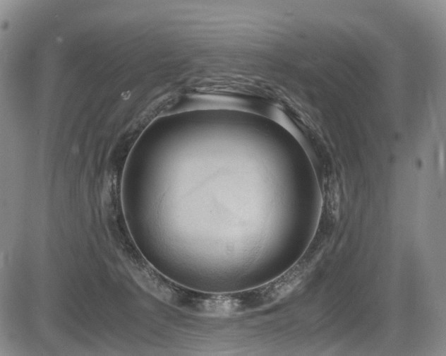 X0000084000225200702161140