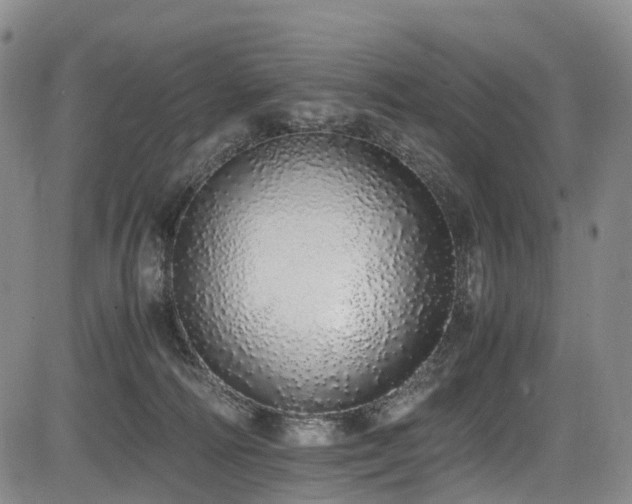 X0000084000226200702161140
