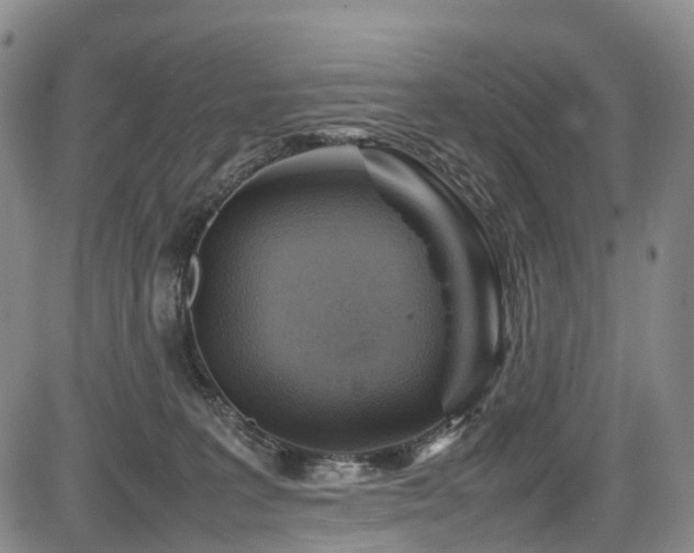 X0000084000227200702161140