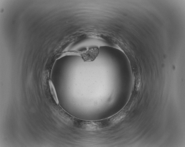 X0000084000229200702161140