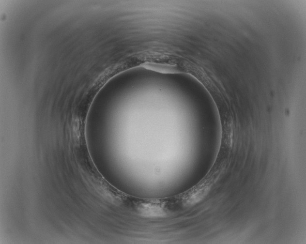 X0000084000232200702161140