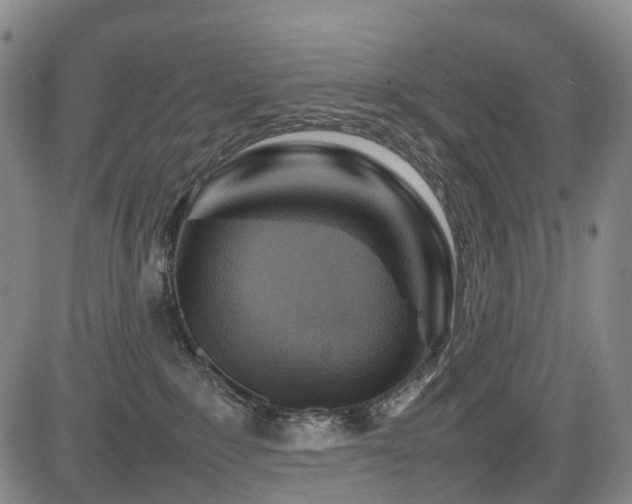X0000084000235200702161140