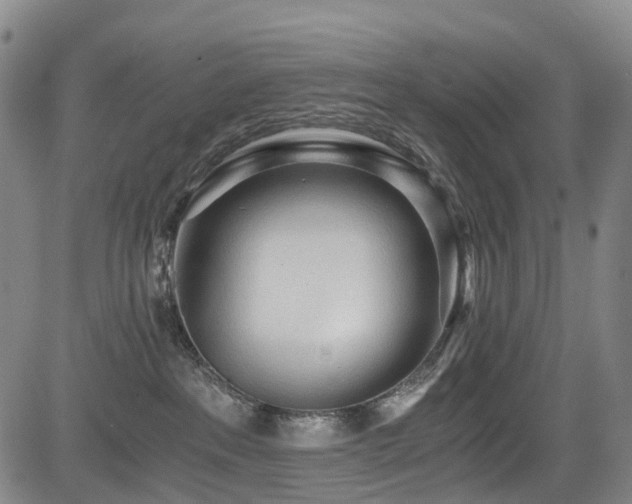 X0000084000237200702161140